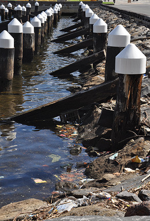 Call for Yarra River protection