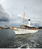 Ena to be auctioned