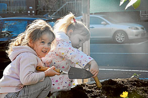 Tree planting day