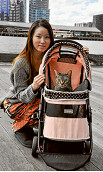 Cats of Docklands