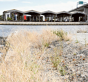 Plans for old shed on track