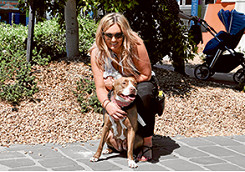 A good day for a walk