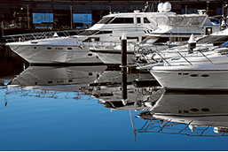 Marina security dispute