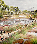 Flashy plans for dirty creek