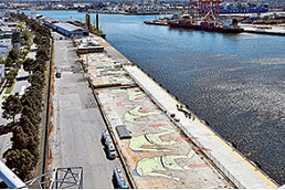 Local mega mural