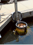 Seabins switched off to protect ducks