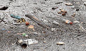 Too much rubbish!