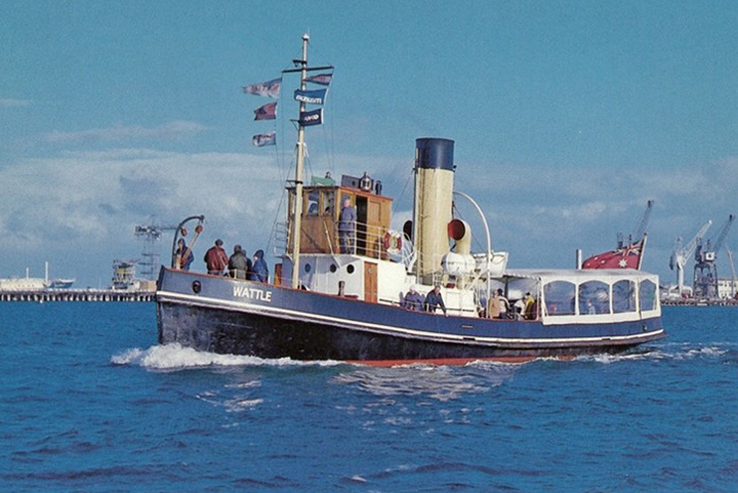 189 Column MMHN Steam tug Wattie