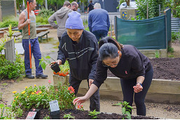 191-Community-Garden-Rachel-Litwin2.jpg