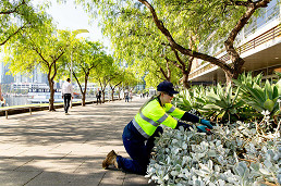 Serco continues open space management in Melbourne