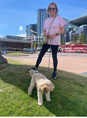 Millie the Cavoodle’s daily wharf adventures