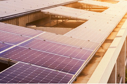 Apartment sustainability: turning attention into action