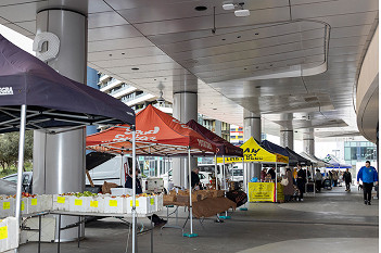 Docklands Farmers Market pauses for November amid plans for new foreshore location