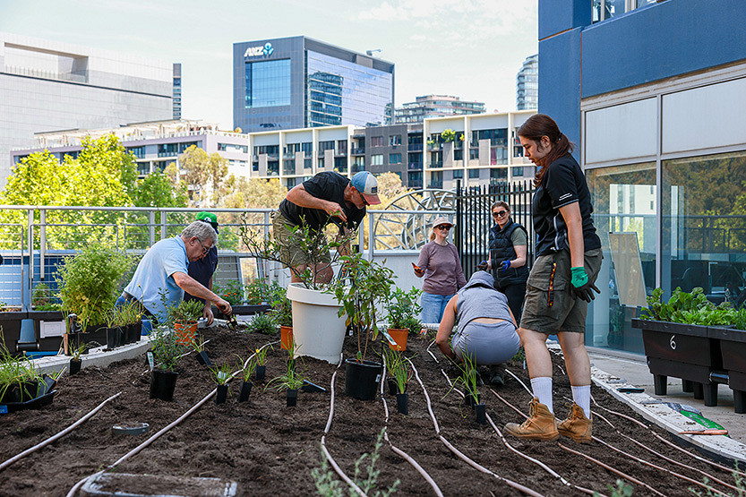 Council launches $1m Urban Forest Fund grants for 2026