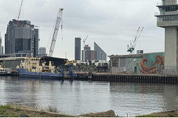 228-Docklands-Octopus-1.jpg