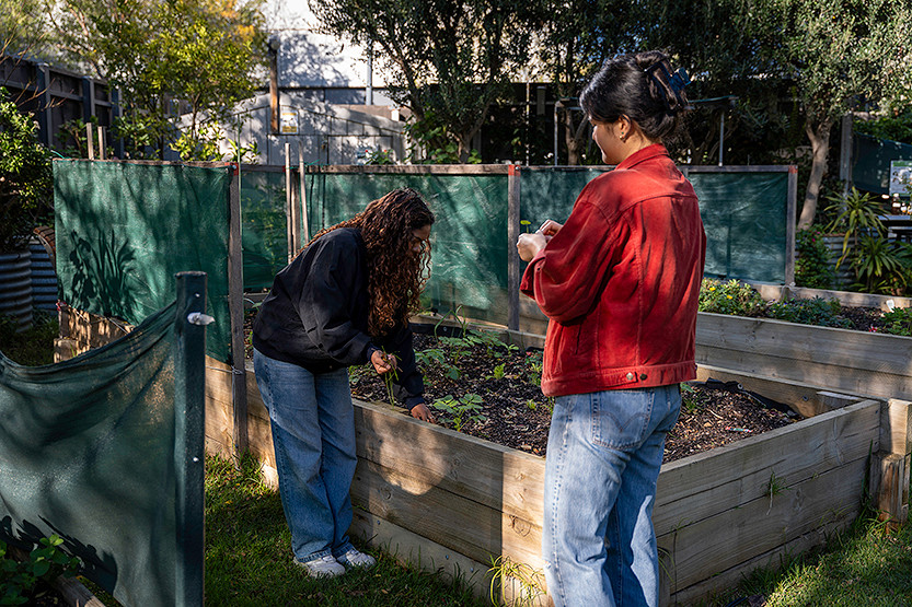 231-Community-Garden-5.jpg