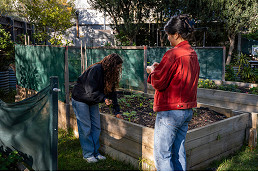 231-Community-Garden-5.jpg