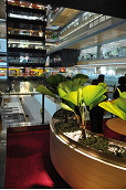 Inside battlestar ANZ