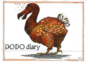 DODO Diary