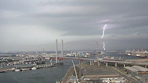 Docklands doesn’t weather the storm
