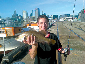 Barra landed in Docklands