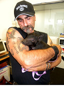 This pig is no muppet