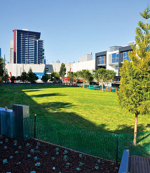 Where the grass is greener …
