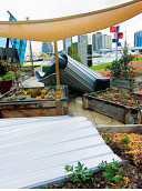 Community garden speaks for itself