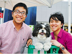 Ella, the Docklands dream dog
