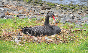 Clean up rewarded with beauty