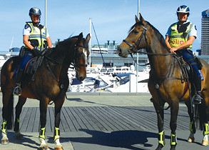 Clippity clop, here come the cops