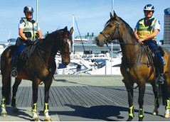 Clippity clop, here come the cops